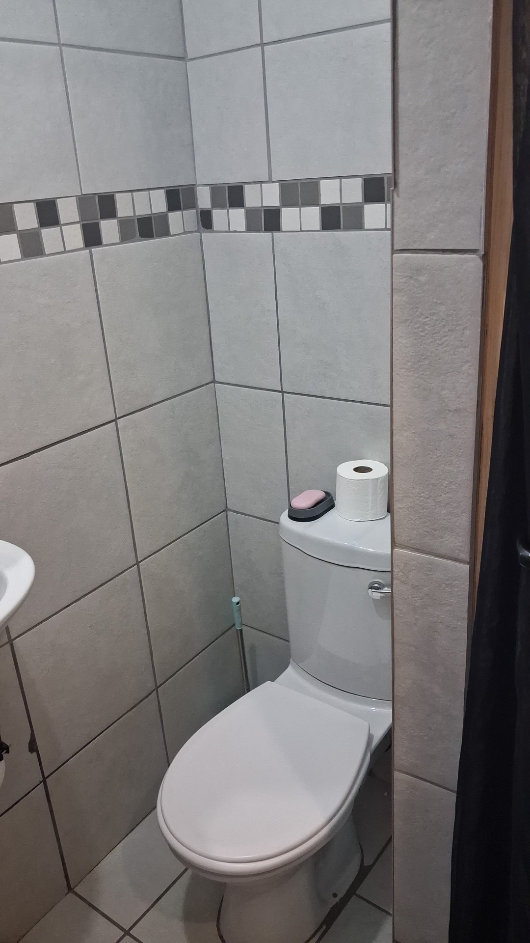 Private en-suite toilet with mosaic tile detail
