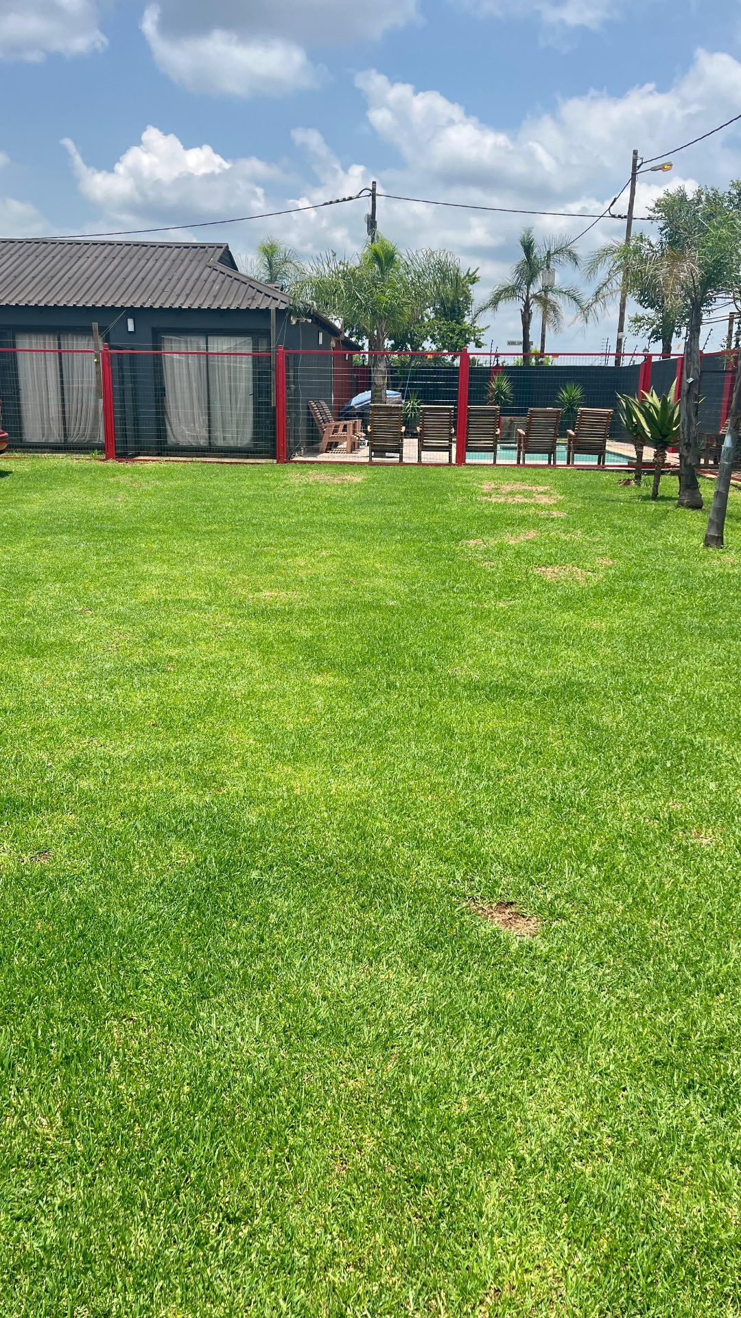 Wide lawn view with palms and cottage
