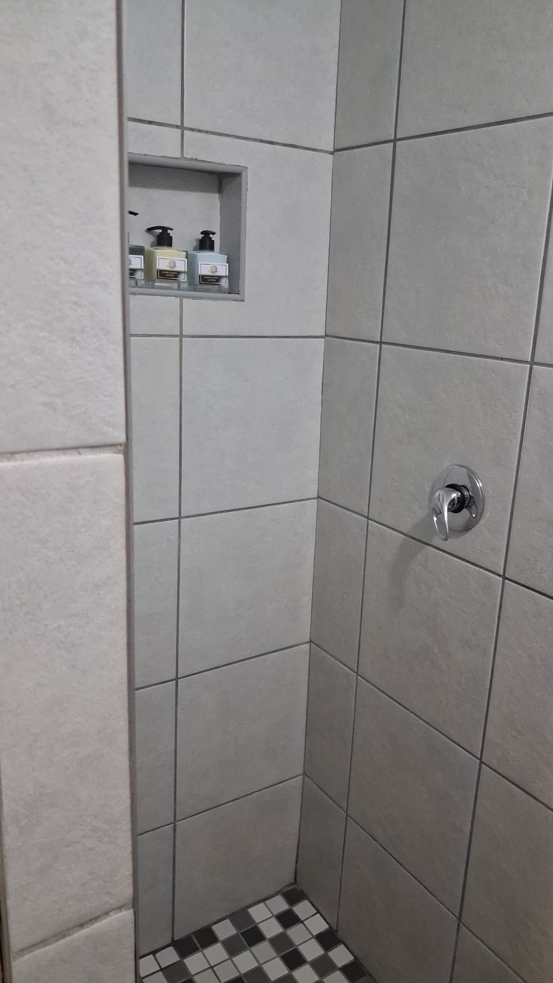 Modern tiled shower with built-in niche and branded toiletries